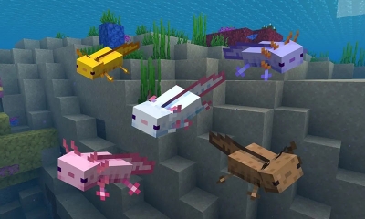 Tất tần tật về Axolotl trong Minecraft, thú cưng chất cần sở hữu