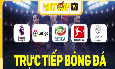 Mitom tv là gì?  Có nên xem trực tiếp bóng đá miễn phí tại mitom không?