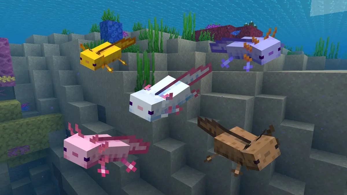 axolotl minecraft 2 jpg