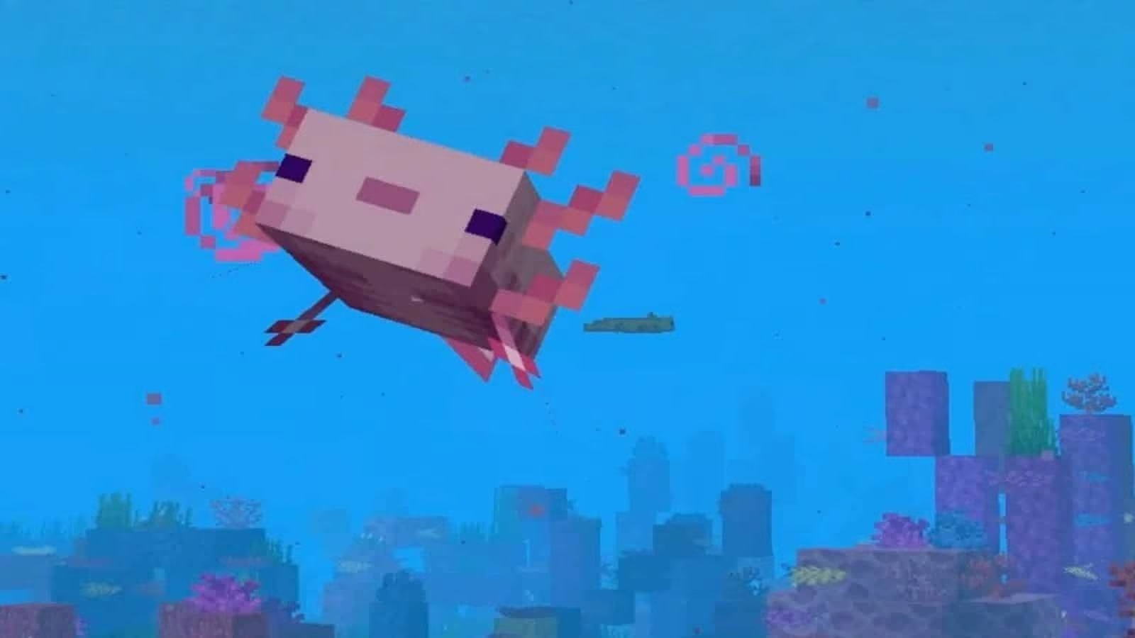 axolotl minecraft 3 jpg