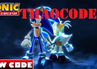code Sonic Speed Simulator