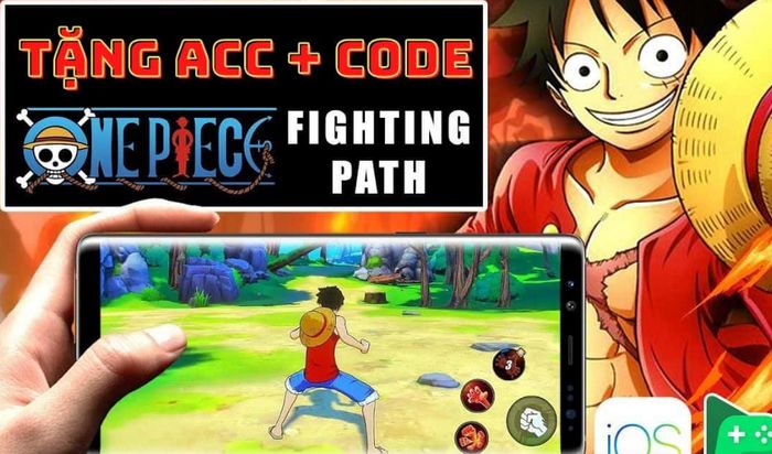 acc one piece fighting path 5 jpg