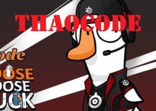Code Goose Goose Duck