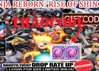 Code Ninja Reborn: Rise of Shinobi