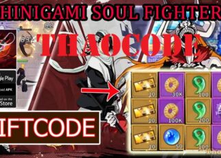 Code Shinigami Soul Fighters